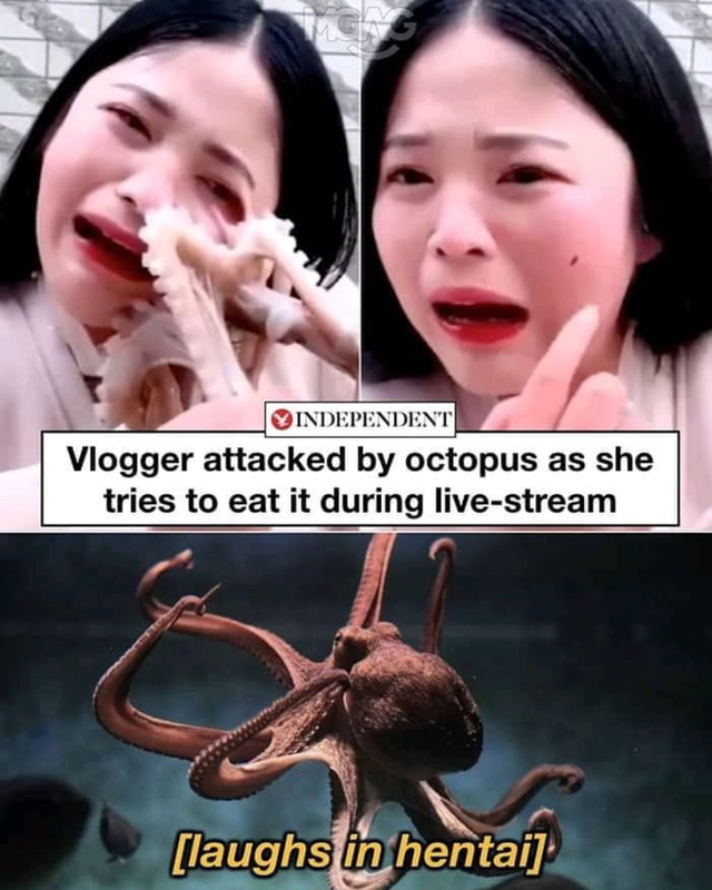 dank meme - lady with octopus on face - Independent Vlogger attacked by octopus as she tries to eat it during livestream laughs in hentai