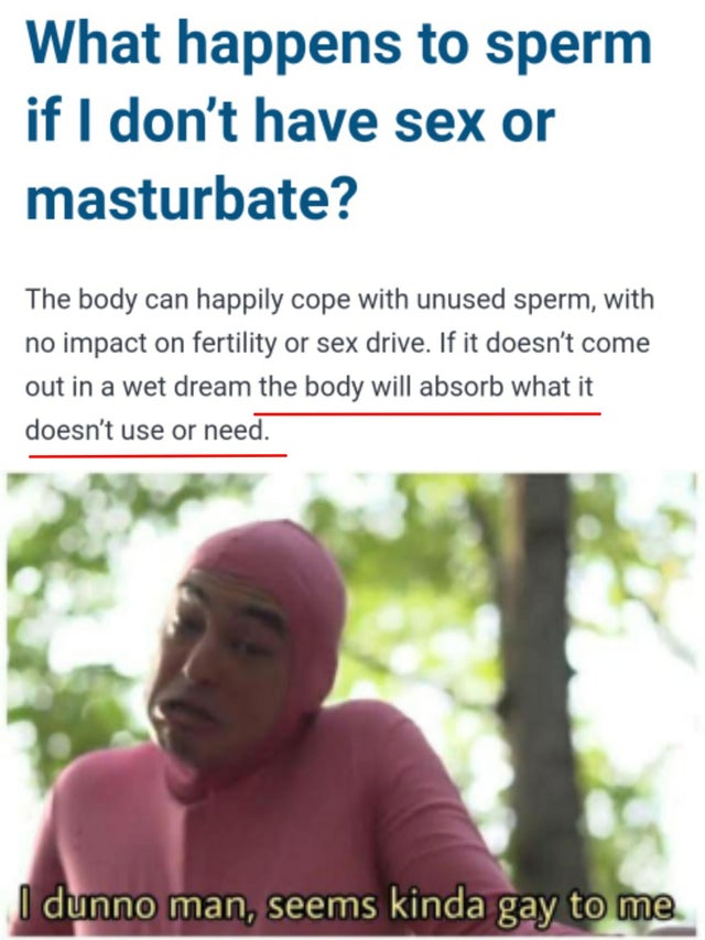 dank meme - dunno man seems kinda gay to me meme - What happens to sperm if I don't have sex or masturbate? The body can happily cope with unused sperm, with no impact on fertility or sex drive. If it doesn't come out in a wet dream the body will absorb w