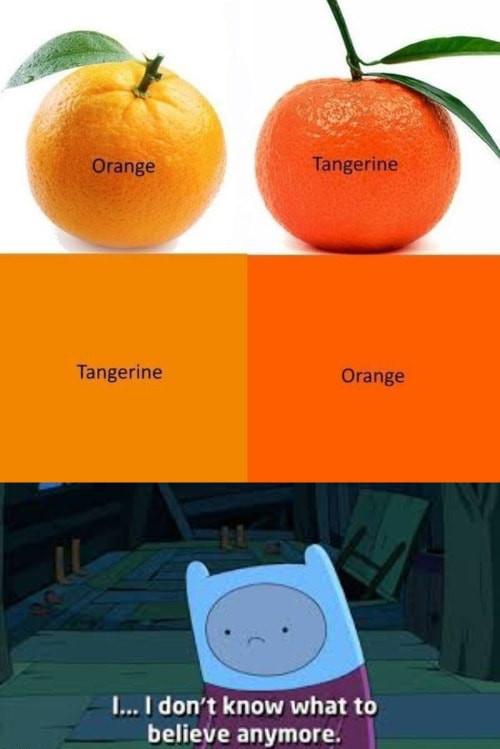 dank meme - orange tangerine meme - Orange Tangerine Tangerine Orange L... I don't know what to believe anymore.