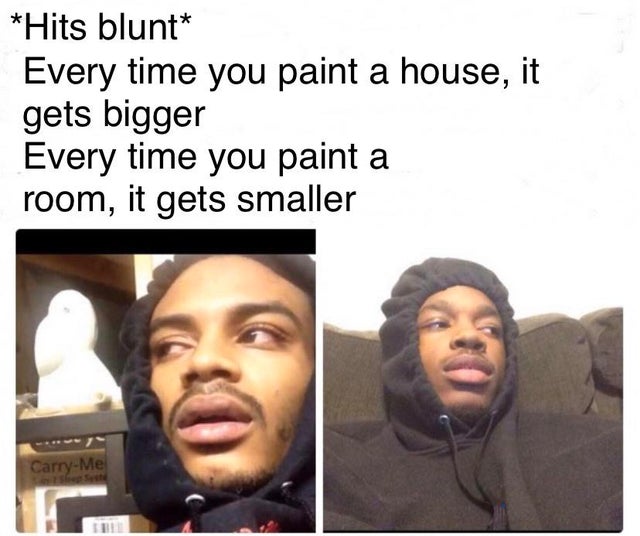 dank meme - hits blunt meme - Hits blunt Every time you paint a house, it gets bigger Every time you paint a room, it gets smaller CarryMe