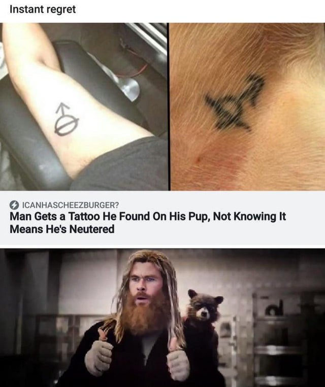 dank meme - thor hulk meme template - Instant regret Icanhascheezburger? Man Gets a Tattoo He Found On His Pup, Not Knowing It Means He's Neutered