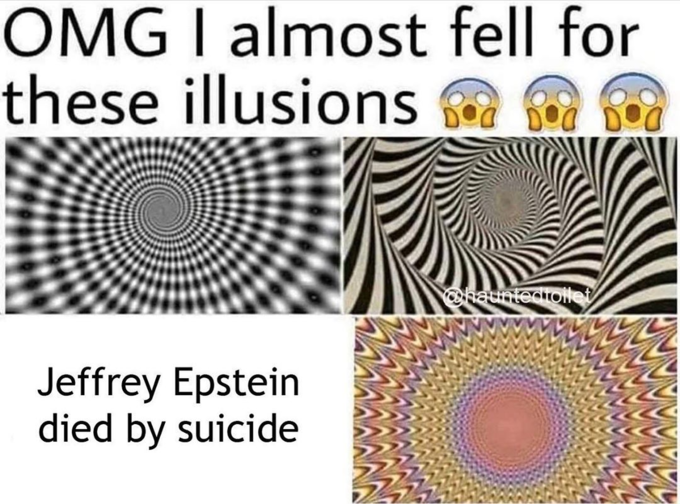 epstein meme - almost fell for these illusions - Omg I almost fell for these illusions Boa Boa boa hauntecitollet Jeffrey Epstein died by suicide