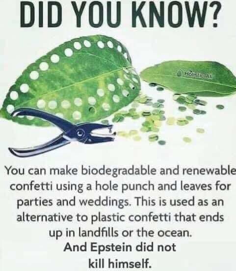 epstein meme - Environmentally friendly - Did You Know? Hostel You can make biodegradable and renewable confetti using a hole punch and leaves for parties and weddings. This is used as an alternative to plastic confetti that ends up in landfills or the oc