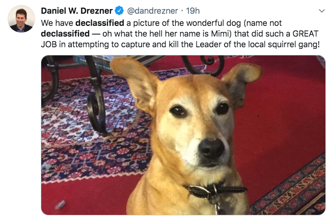 photo caption - Daniel W. Drezner 19h We have declassified a picture of the wonderful dog name not declassified oh what the hell her name is Mimi that did such a Great Job in attempting to capture and kill the Leader of the local squirrel gang! Xoyises