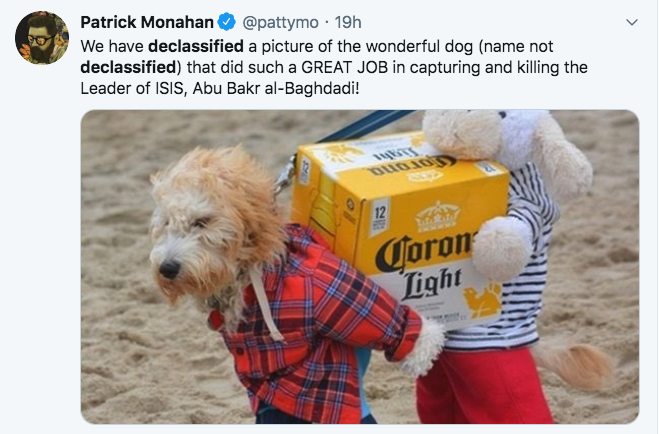halloween costumes for dogs - Patrick Monahan 19h We have declassified a picture of the wonderful dog name not declassified that did such a Great Job in capturing and killing the Leader of Isis, Abu Bakr alBaghdadi! Duis Coron Light