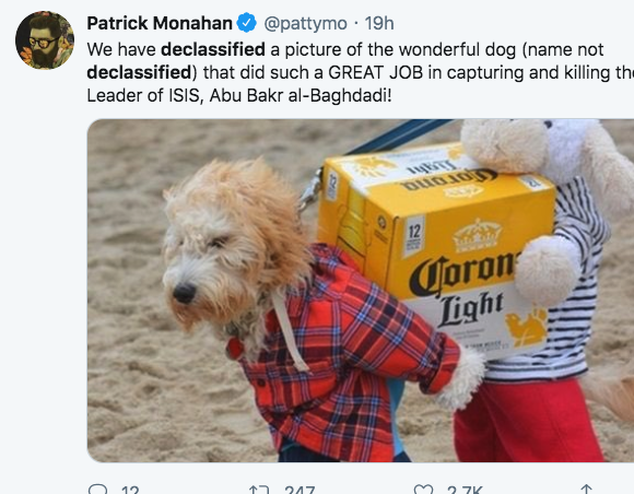 halloween costumes for dogs - Patrick Monahan 19h We have declassified a picture of the wonderful dog name not declassified that did such a Great Job in capturing and killing the Leader of Isis, Abu Bakr alBaghdadi! Qoron Light 12 247 M27K