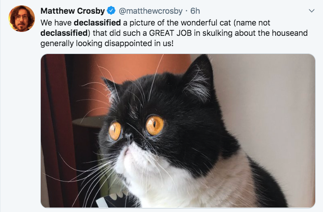photo caption - Matthew Crosby . 6h We have declassified a picture of the wonderful cat name not declassified that did such a Great Job in skulking about the houseand generally looking disappointed in us!