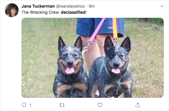 australian cattle dog - Jana Tuckerman . 9m The Wrecking Crew declassified! 21 22