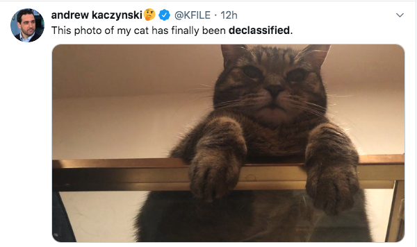 photo caption - andrew Kaczynski 12h This photo of my cat has finally been declassified.