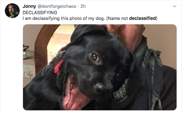 labrador retriever - Jonny . 2h Declassifying I am declassifying this photo of my dog. Name not declassified