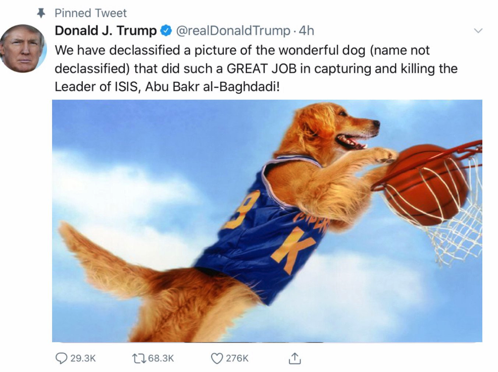 air bud golden receiver movie poster - Pinned Tweet Donald J. Trump Trump.4h We have declassified a picture of the wonderful dog name not declassified that did such a Great Job in capturing and killing the Leader of Isis, Abu Bakr alBaghdadi! 1