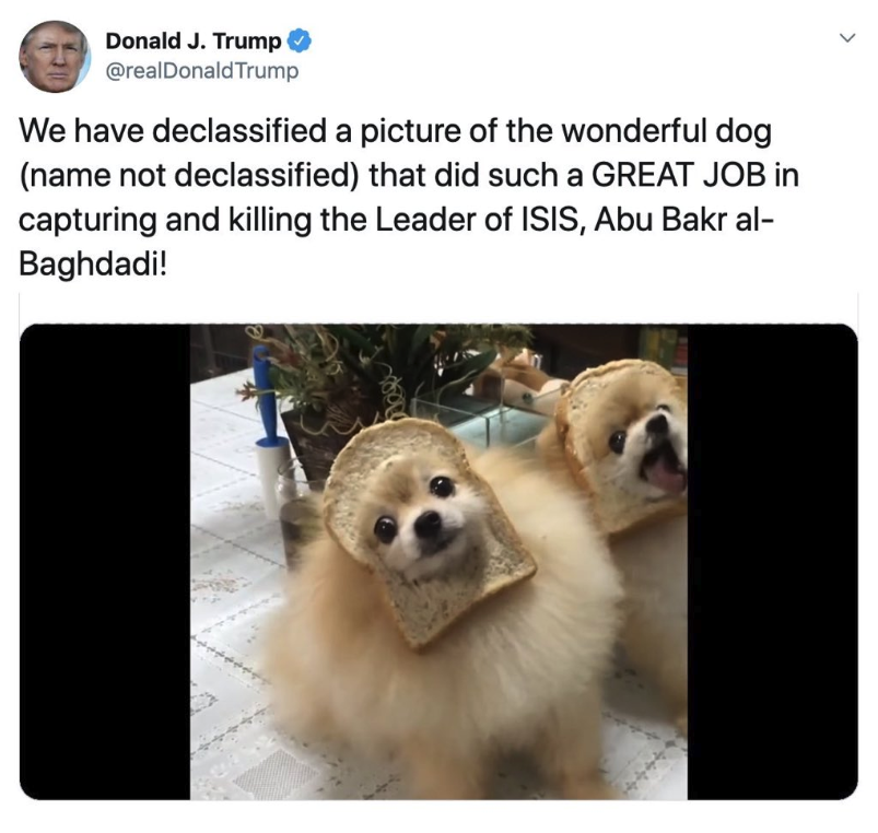 dog rapping - Donald J. Trump Trump We have declassified a picture of the wonderful dog name not declassified that did such a Great Job in capturing and killing the Leader of Isis, Abu Bakr al Baghdadi!