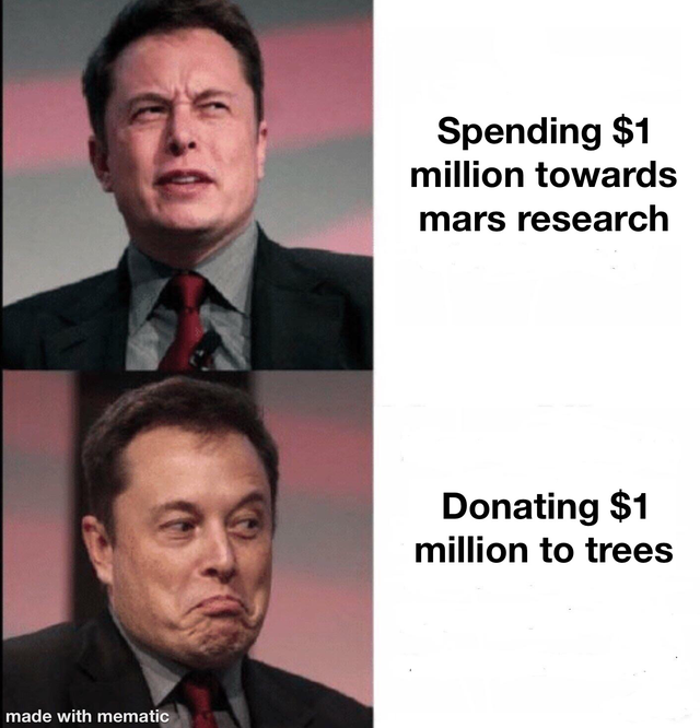 elon musket - Spending $1 million towards mars research Donating $1 million to trees made with mematic