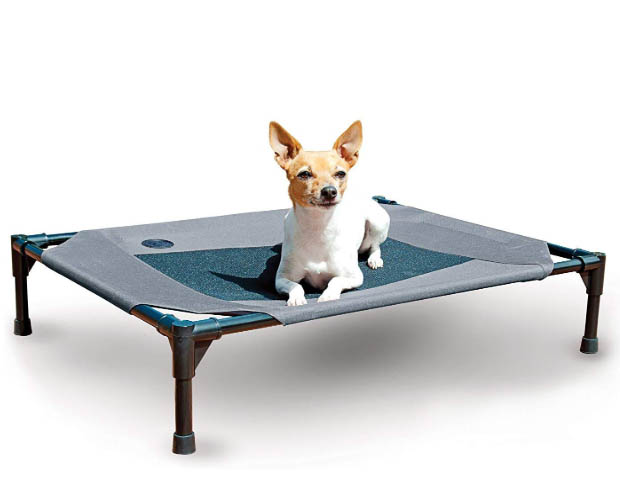 pet cot