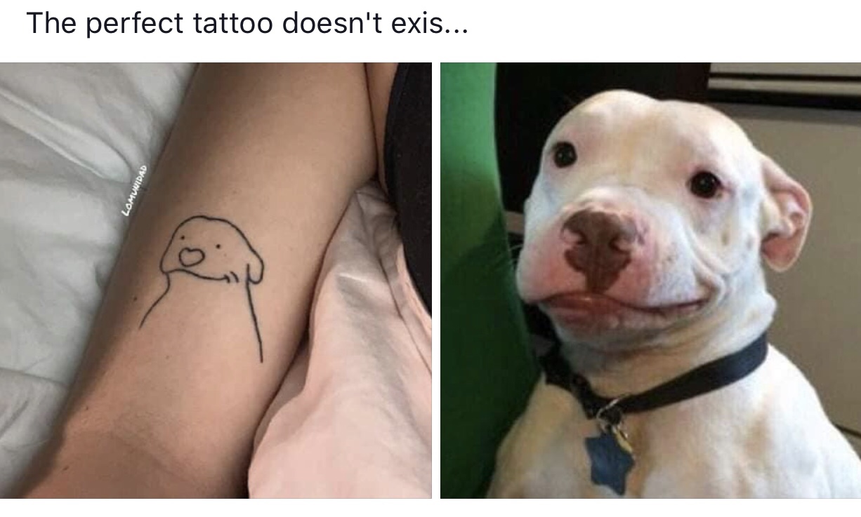 pitbull meme - The perfect tattoo doesn't exis... Lomunidad