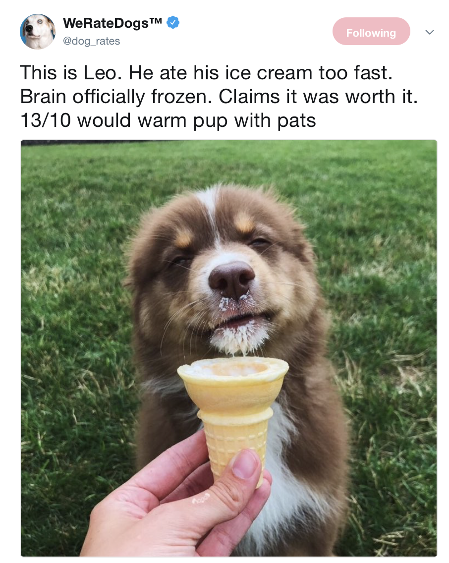 brain freezes meme - WeRateDogsTM dog rates ing This is Leo. He ate his ice cream too fast. Brain officially frozen. Claims it was worth it. 1310 would warm pup with pats