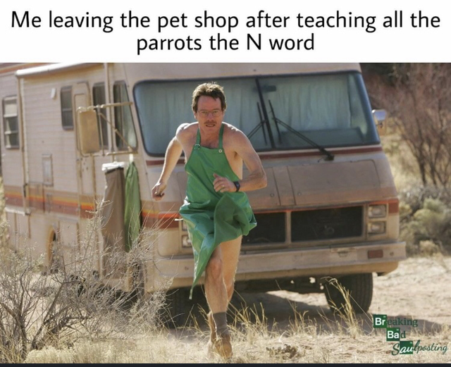 fresh meme - breaking bad pilot - Me leaving the pet shop after teaching all the parrots the N word Breaking Bad Saulposting