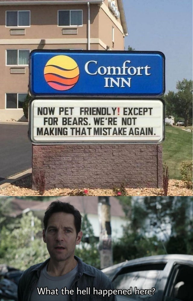 fresh meme - hell happened here - Comfort Inn Now Pet Friendly! Except For Bears. We'Re Not Making That Mistake Again. What the hell happened here?