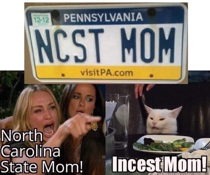 Woman yelling at a cat meme about a license plate that says NCST MOM with the woman yelling North Carolina State Mom and the cat yelling incest mom!