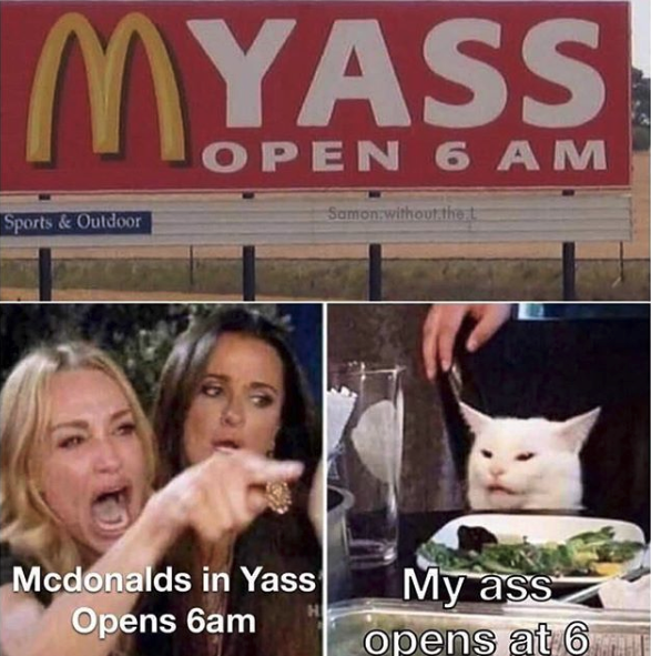 Woman yelling at a cat meme about a McDonalds sign that says 'yass'