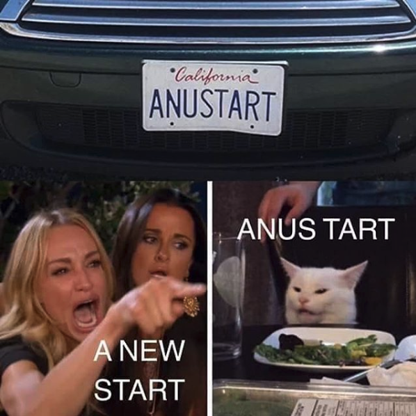Woman yelling at a cat meme about a license plate that says ANUSTART and the woman says it means 'a new start' and the cat is saying 'anus tart'