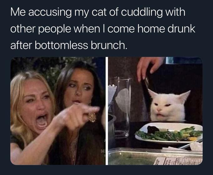 Woman yelling at a cat meme that says 'me accusing my cat of cuddling with other people when i come home drunk after bottomless brunch'