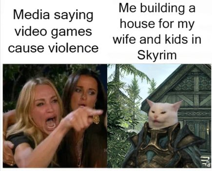 woman yelling at a cat meme that says 'media saying video games cause violence' and 'me building a house for my wife and kids in skyrim'
