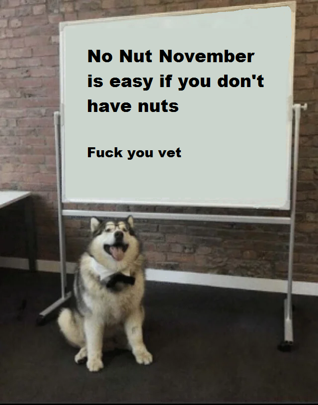 dog whiteboard meme template - No Nut November is easy if you don't have nuts Fuck you vet
