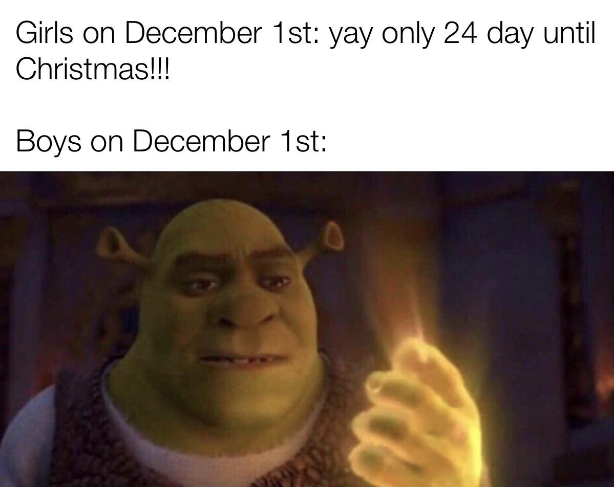 am inevitable meme shrek - Girls on December 1st yay only 24 day until Christmas!!! Boys on December 1st