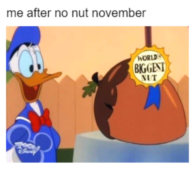 no nut november meme - me after no nut november World Biggest Nut