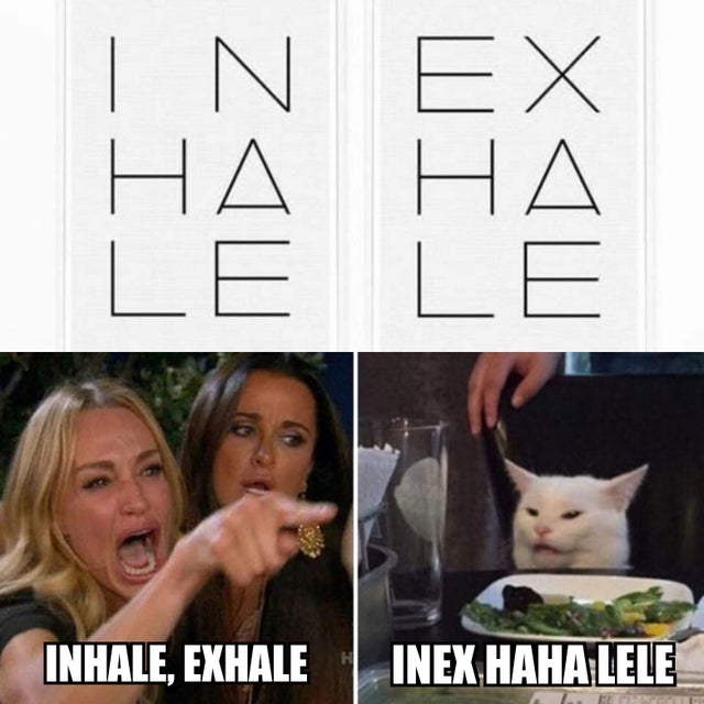 INHAlE EXHALE woman yelling at a cat meme - white cat sitting at a table - screenshot from Real Housewives of Beverly Hills