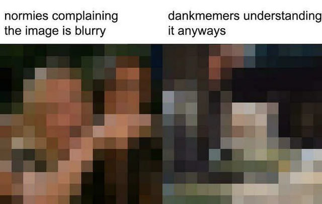 normies complaining the image is blurry - normies complaining the image is blurry dankmemers understanding it anyways