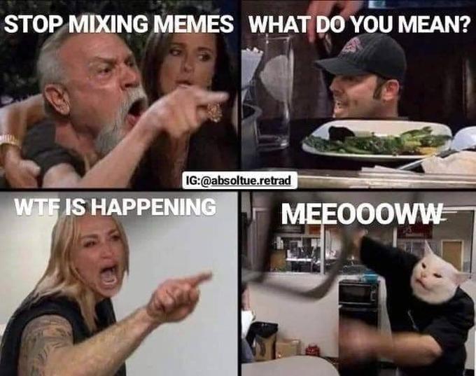 stop mixing memes - Stop Mixing Memes What Do You Mean? Ig.retrad Wtf Is Happening Meeoooww