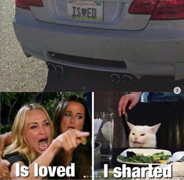 smudge the cat meme template - ut California Ised Is loved sharted