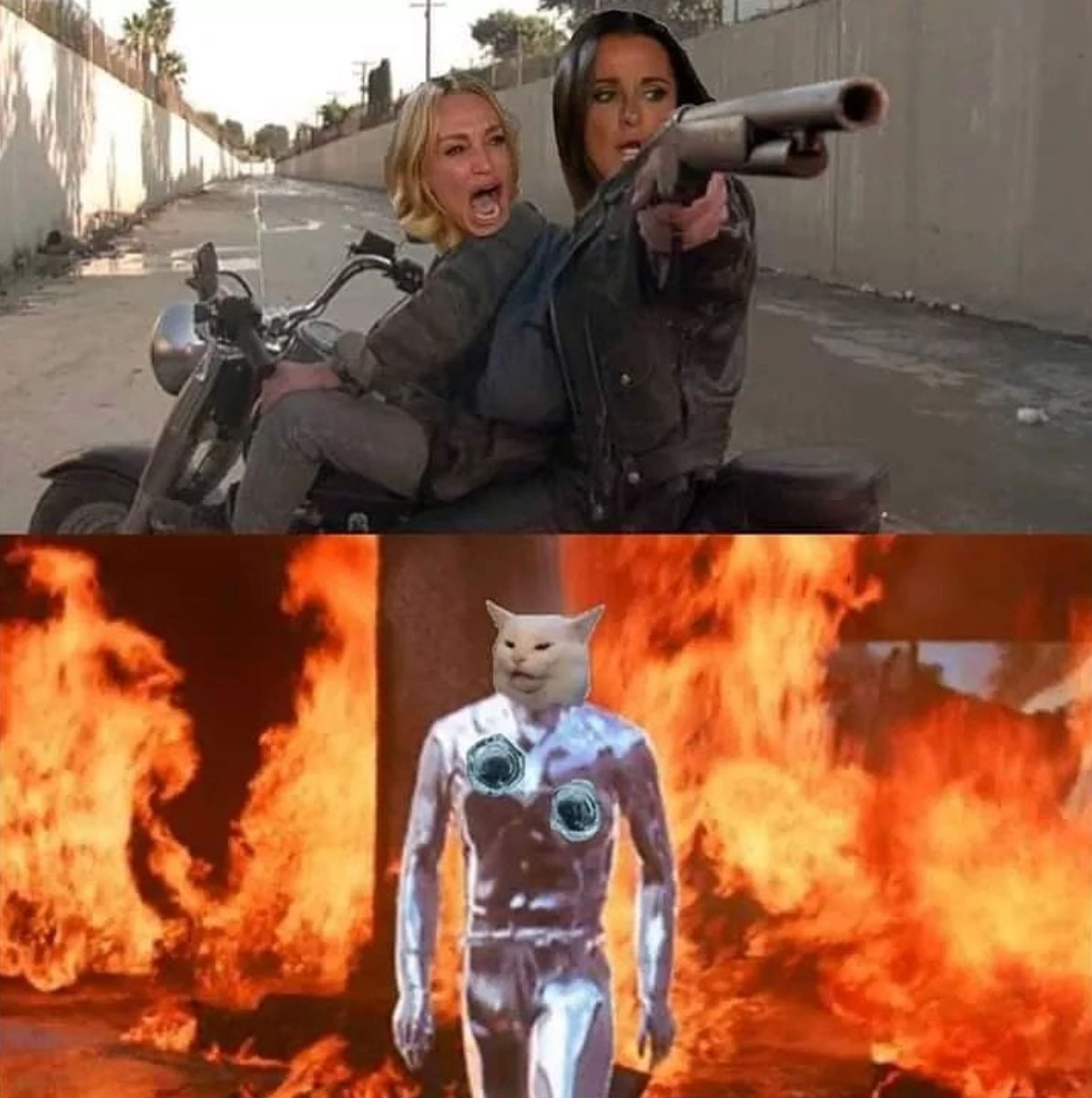 Terminator 2 - woman yelling at a cat meme where the cat is the liquid metal t-1000
