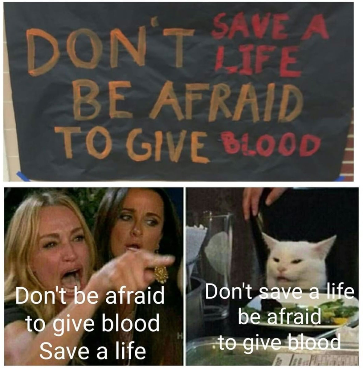 woman yelling at a cat meme - don't be afraid to give blood save a life