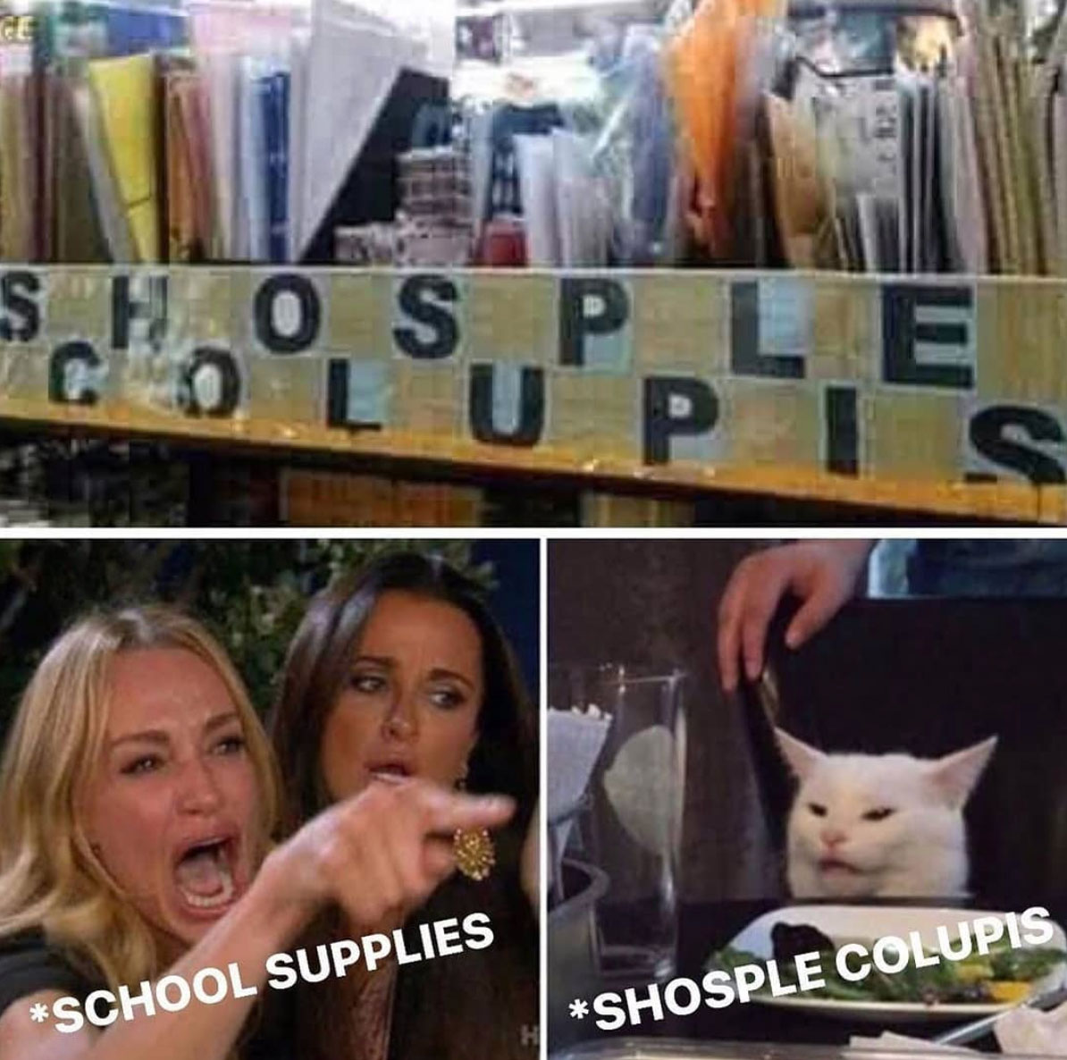 woman yelling at a cat - school supplies