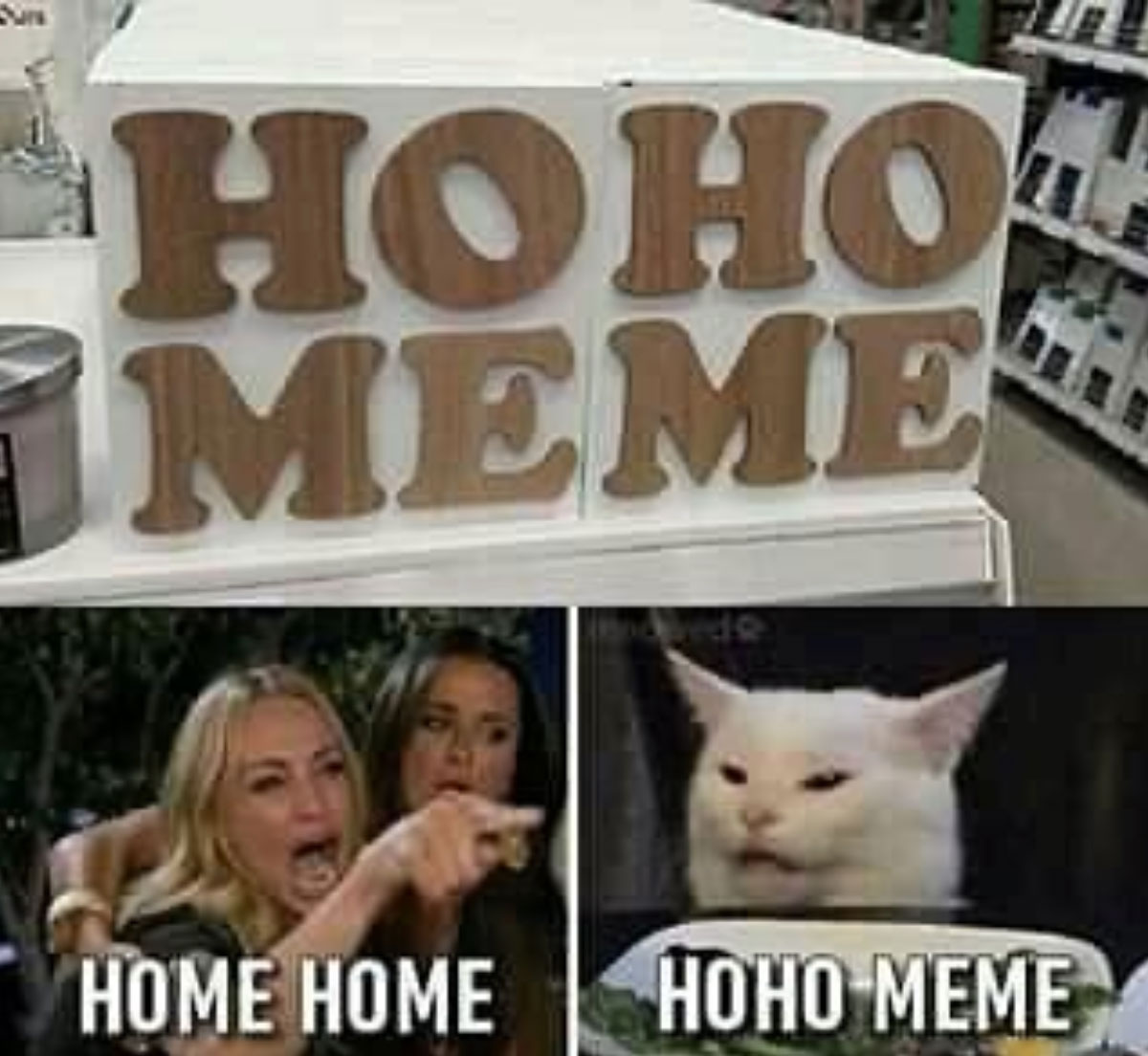 home home - woman yelling at a cat