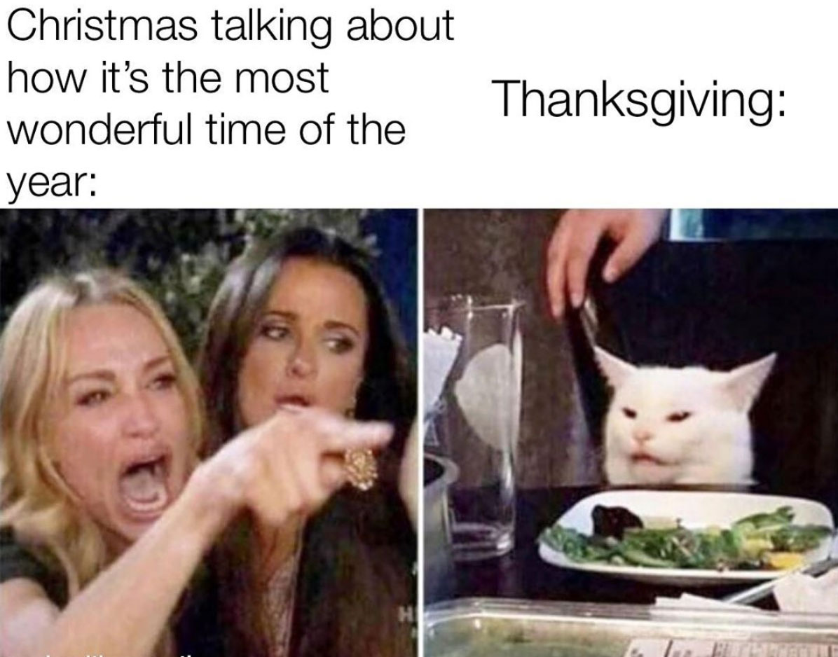 woman yelling at a cat that says ' christmas talking about how its the most wonderful time of the year' and the cat says 'thanksgiving'