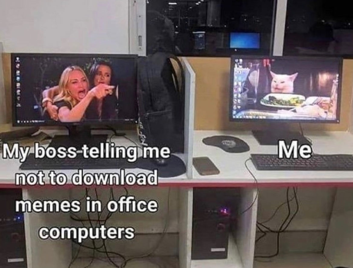 Two work cubicles with monitors that have a woman yelling and a cat with the caption 'my boss telling me not to download memes in office computers'