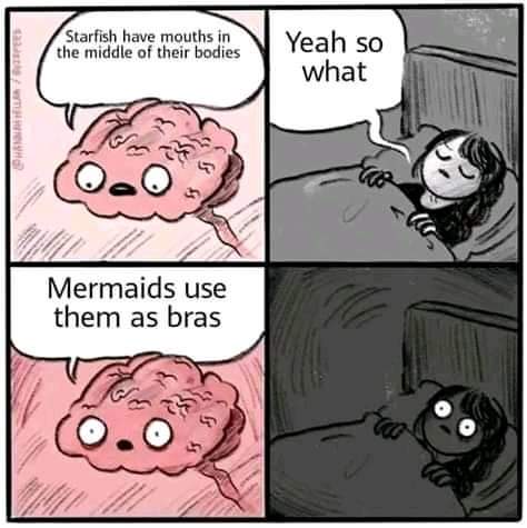 know how to fix that bug - Starfish have mouths in the middle of their bodies Yeah so what Harters B Mermaids use them as bras >>>