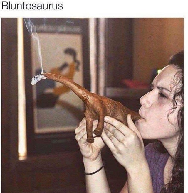 dinosaur blunt - Bluntosaurus