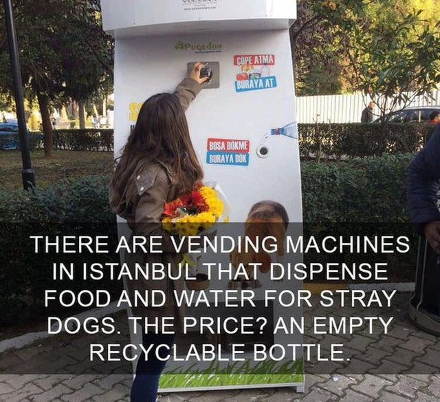 happy facts - Puordon Cope Atma Buraya At Yana Bosa Dokme Buraya Dok There Are Vending Machines In Istanbul That Dispense Food And Water For Stray Dogs. The Price? An Empty Recyclable Bottle.