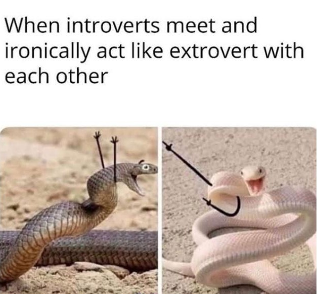 wholesome meme - When introverts meet and ironically act extrovert with each other