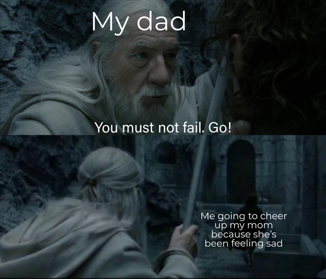 wholesome meme - photo caption - My dad You must not fail. Go! Me going to cheer up my mom because she's been feeling sad
