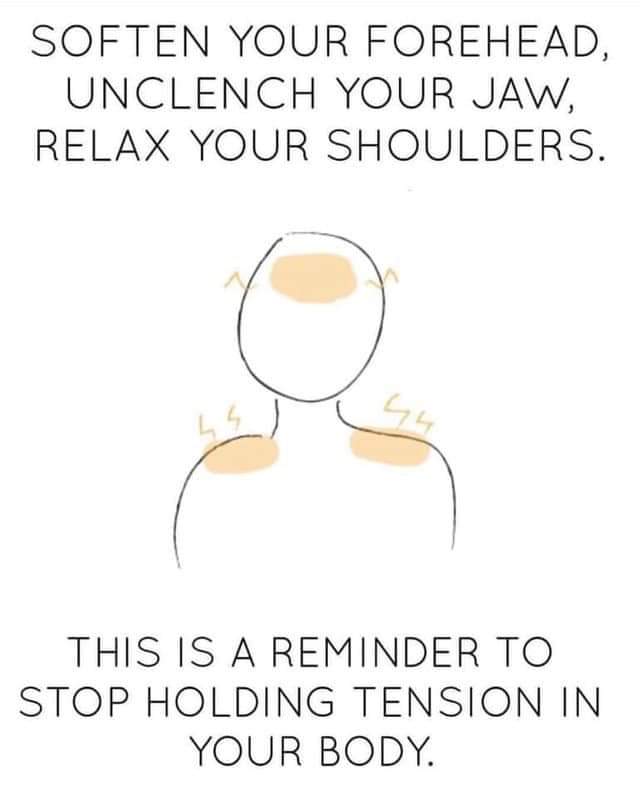 wholesome meme - soften your forehead unclench your jaw - Soften Your Forehead, Unclench Your Jaw, Relax Your Shoulders. This Is A Reminder To Stop Holding Tension In Your Body.