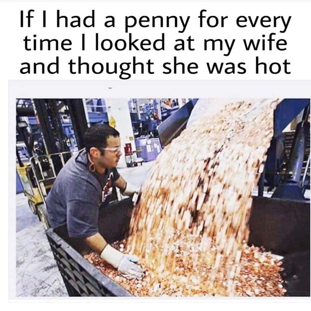 wholesome meme - dump truck full of pennies - If I had a penny for every time I looked at my wife and thought she was hot