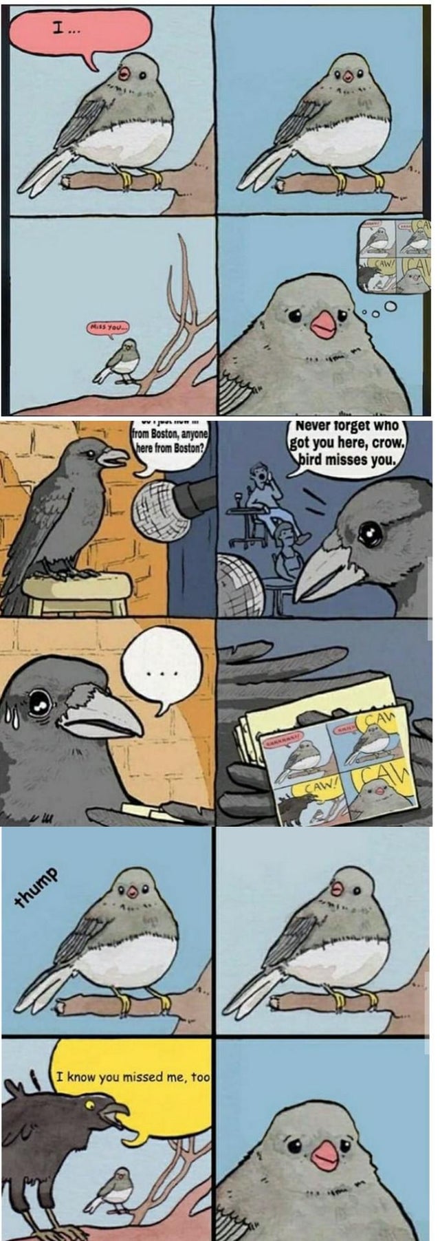 wholesome meme - comics - Miss You wem from Boston, anyone here from Boston? Never forget who got you here, crow. bird misses you. Caw! thump I know you missed me, too