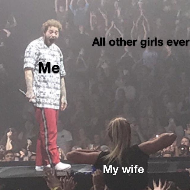 wholesome meme - post malone concert meme - All other girls ever Me My wife