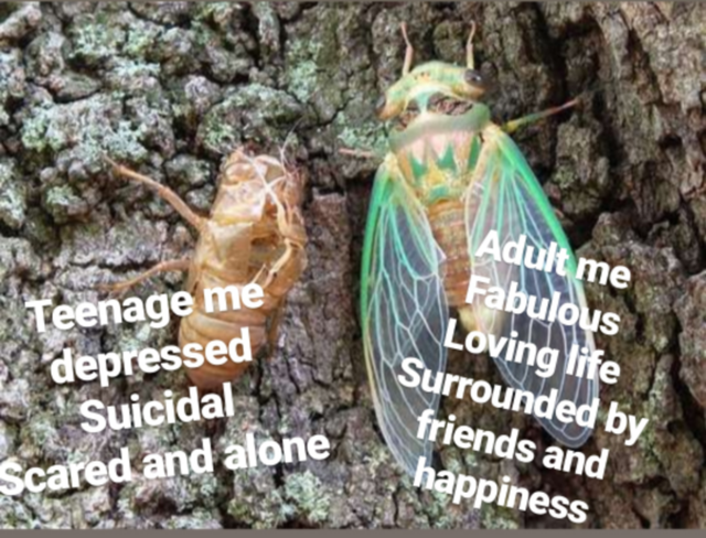 wholesome meme - cicada - Teenage me depressed Suicidal Scared and alone Adult me Fabulous Loving life Surrounded by friends and happiness